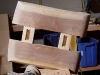 xylem_phloem_progress.jpg
